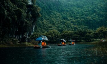 Amazon Rainforest Discovery