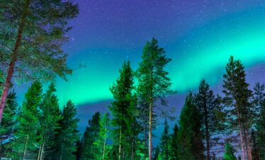 Aurora Fjordscape Adventure